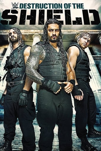 Poster för Journey to SummerSlam: The Destruction Of The Shield