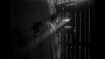 Be a Good Girl (2025)
