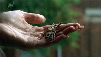 Episode 2 — Ein Mann kommt zur&uuml;ck