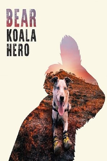 Bear: Koala Hero en streaming 