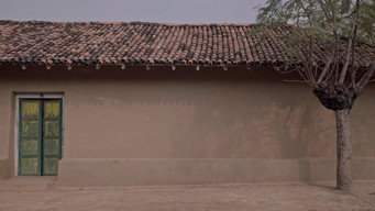 Tortoise Under the Earth (2022)