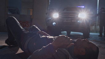 Galeria 4 - Gatillero