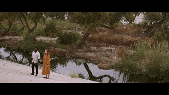 Driftwood (2023)