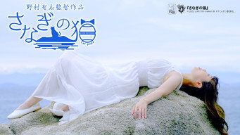 #7 Cat Pupa
