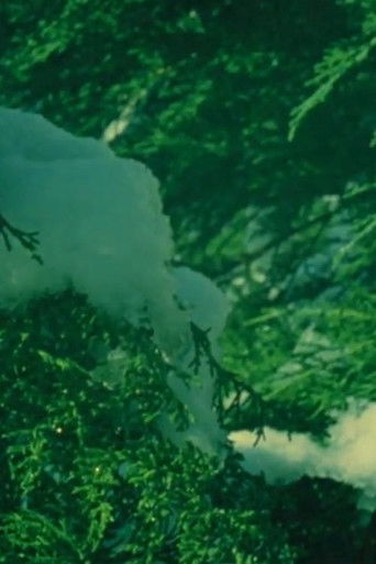 The Cat of the Worm's Green Realm poster 7