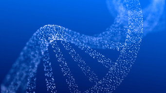 Embryo Screening: Designing Life?