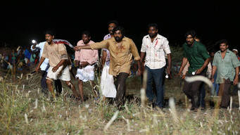 #15 Viduthalai: Part II
