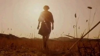 Lost for Words (1996)