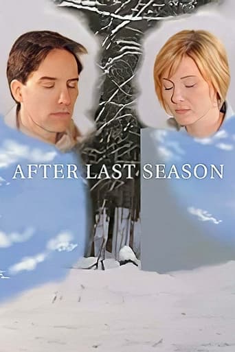 Poster of After Last Season