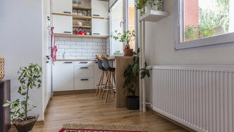 Terrific Tiny Homes (2019- )