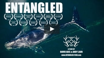 Entangled: The Race to Save Right Whales from Extinction (2020)