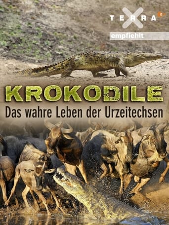 Krokodile - das wahre Leben der Urzeitechsen