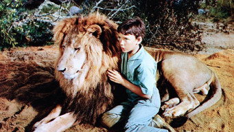 The Lion (1962)