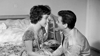 #15 Marriage Adventures