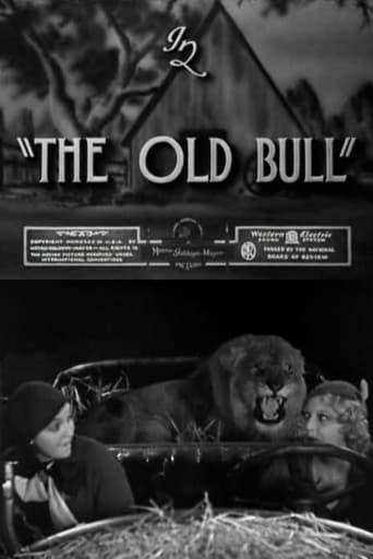 Poster för The Old Bull