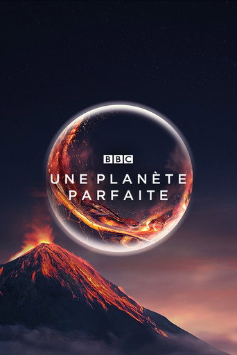 Um Planeta Perfeito — Pôsteres 21