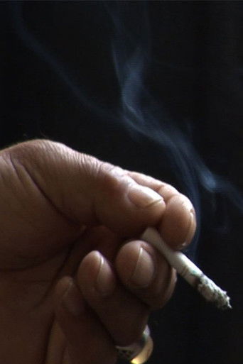 Perforated Memory (2008)