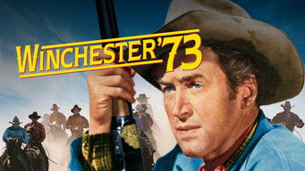 #8 Winchester '73
