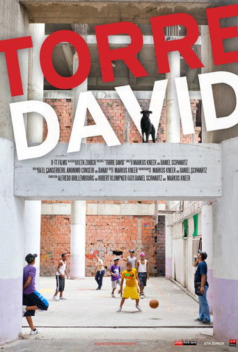 Torre David (2013)