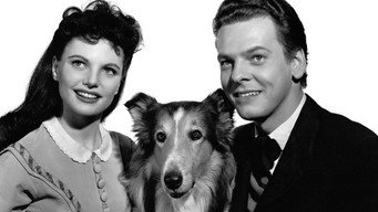 Challenge to Lassie (1949)