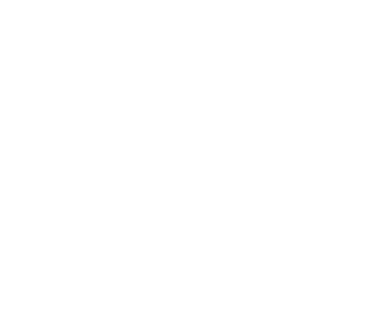 Young Woman and the Sea logo