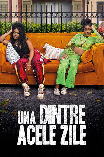 Una dintre acele zile poster