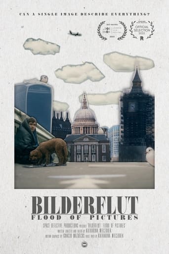 Poster of Bilderflut: Flood of Pictures