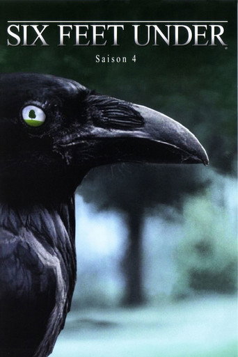 Six Feet Under - S4 - Épisode 7 : Une photo bouleversante - Affiche