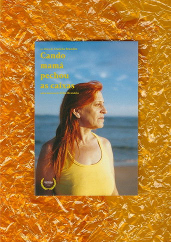 Cartell de Cando mamá pechou as caixas