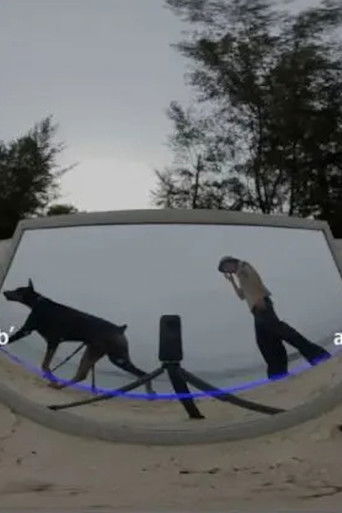 Inspired by Transliteration - Chapter Four: Cracks poster