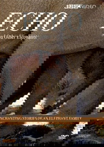 Echo of the Elephants, The Story of an Elephant Family