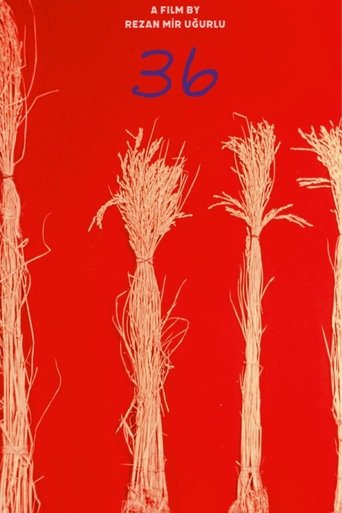 36 (2024)