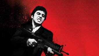 #21 Обличчя зі шрамом