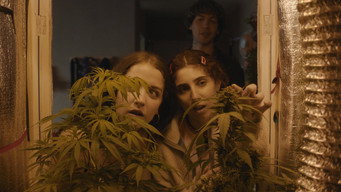 #3 Verano Trippin