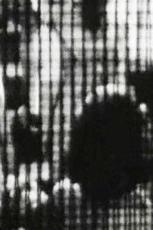 La vie complex poster