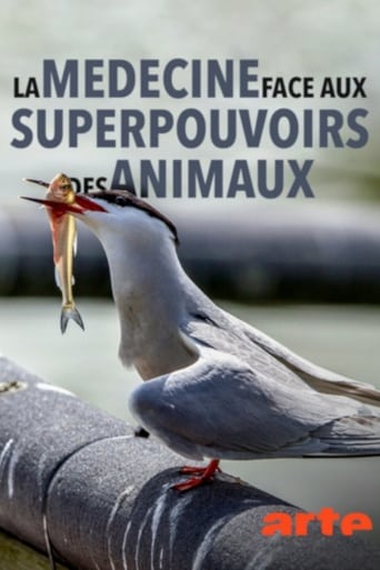 Poster of Wild Medicine - The Superpowers of Animals