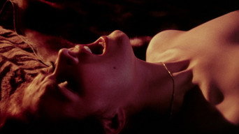 The Sensuous Teenager (1971)