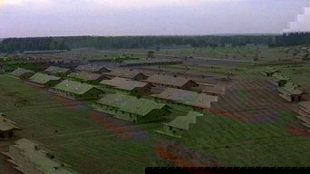 View Image