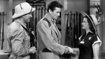#6 The Macomber Affair