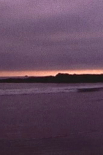 On the Way to Tofino (2018)