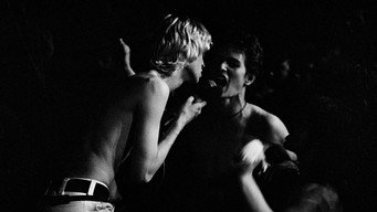 Punx media image
