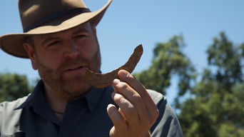 Cena de Episódio 13