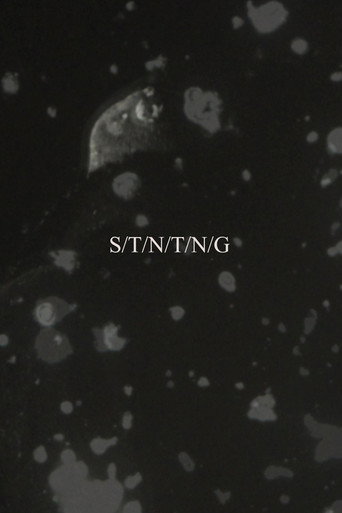 Poster for S/T/N/T/N/G