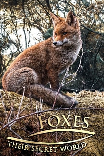 Foxes: Their Secret World 2021