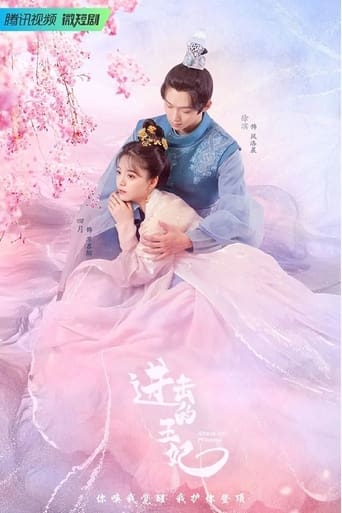 Poster of 进击的王妃