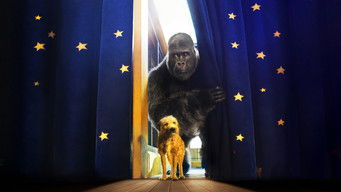 Galeria 3 - El magnífico Iván