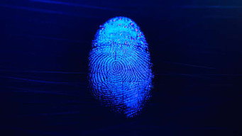 Extreme Forensics (2008-2010)