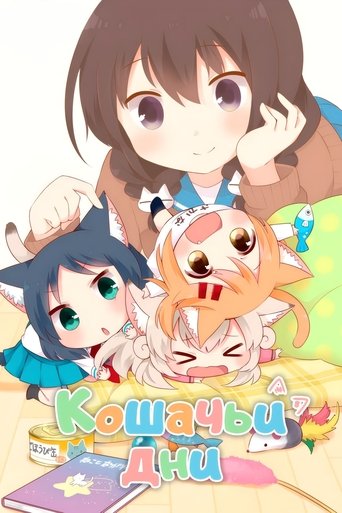 Кошачьи дни