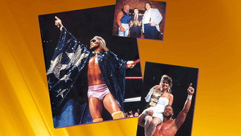 WWE Pay Per View T4E2