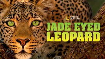#7 Jade Eyed Leopard